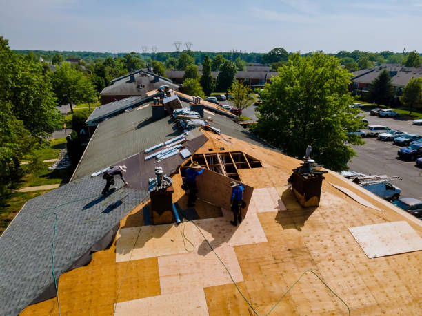 Quick and Trustworthy Emergency Roof Repair Services in Millen, GA